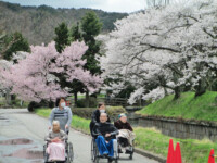 龍岡城五稜郭へお花見